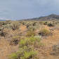 A 10 Acre Lot for Sale in Nevada!