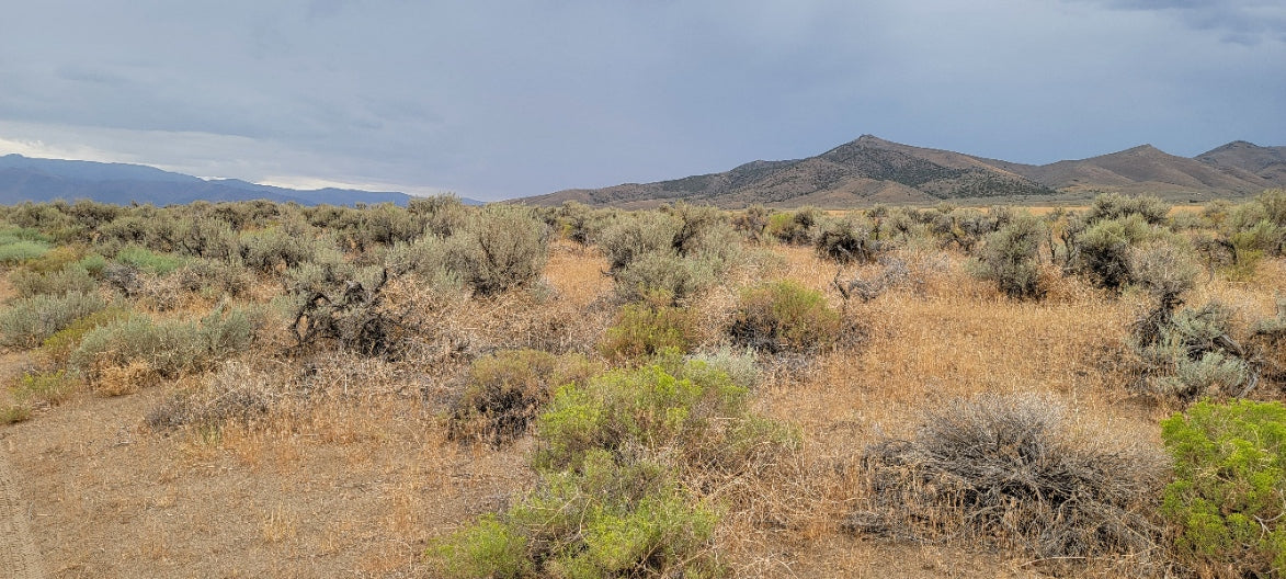A 10 Acre Lot for Sale in Nevada!