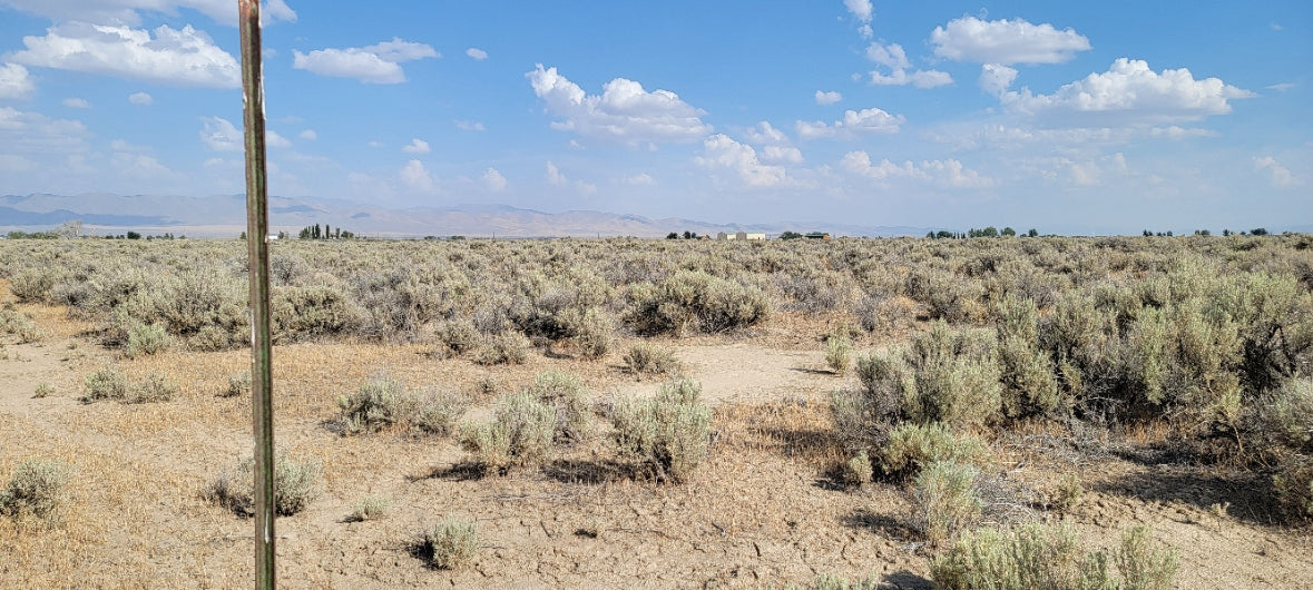 Amazing Views on this 10 Acre Lot For Sale in Nevada!