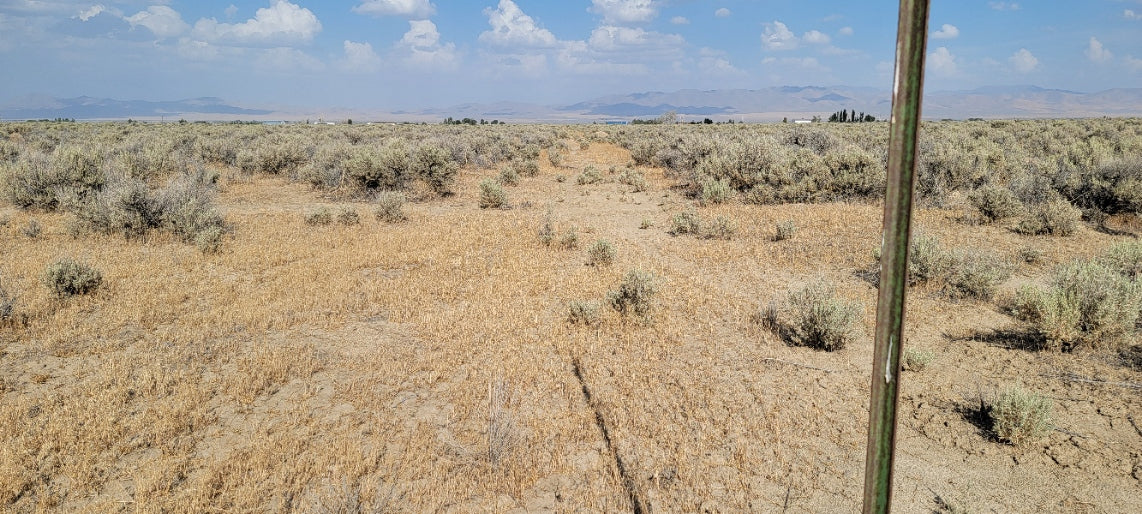 Amazing Views on this 10 Acre Lot For Sale in Nevada!