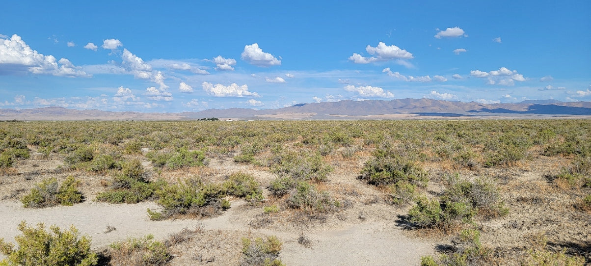 A 10 Acre Lot Available Near Winnemucca, Nevada!