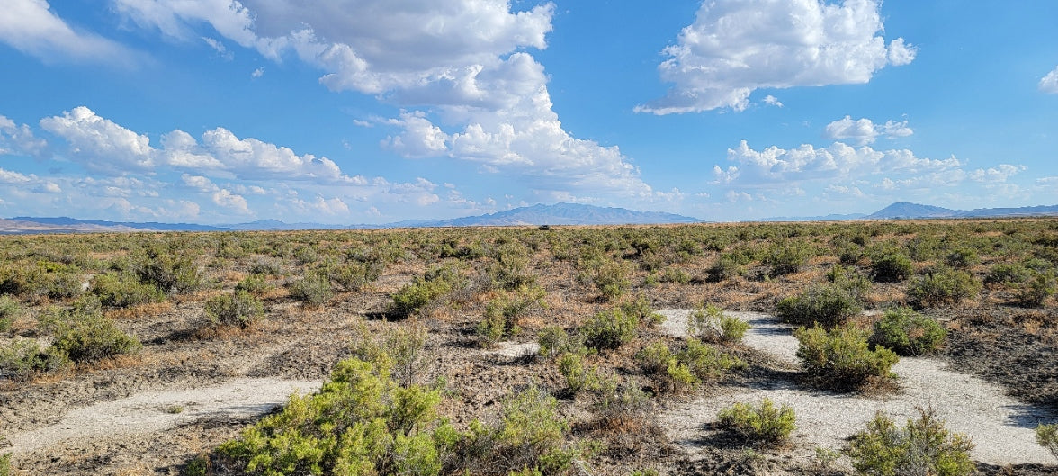 A 10 Acre Lot Available Near Winnemucca, Nevada!