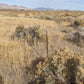 40 Acre Property for Sale in Winnemucca, NV!