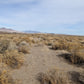 40 Acre Property for Sale in Winnemucca, NV!