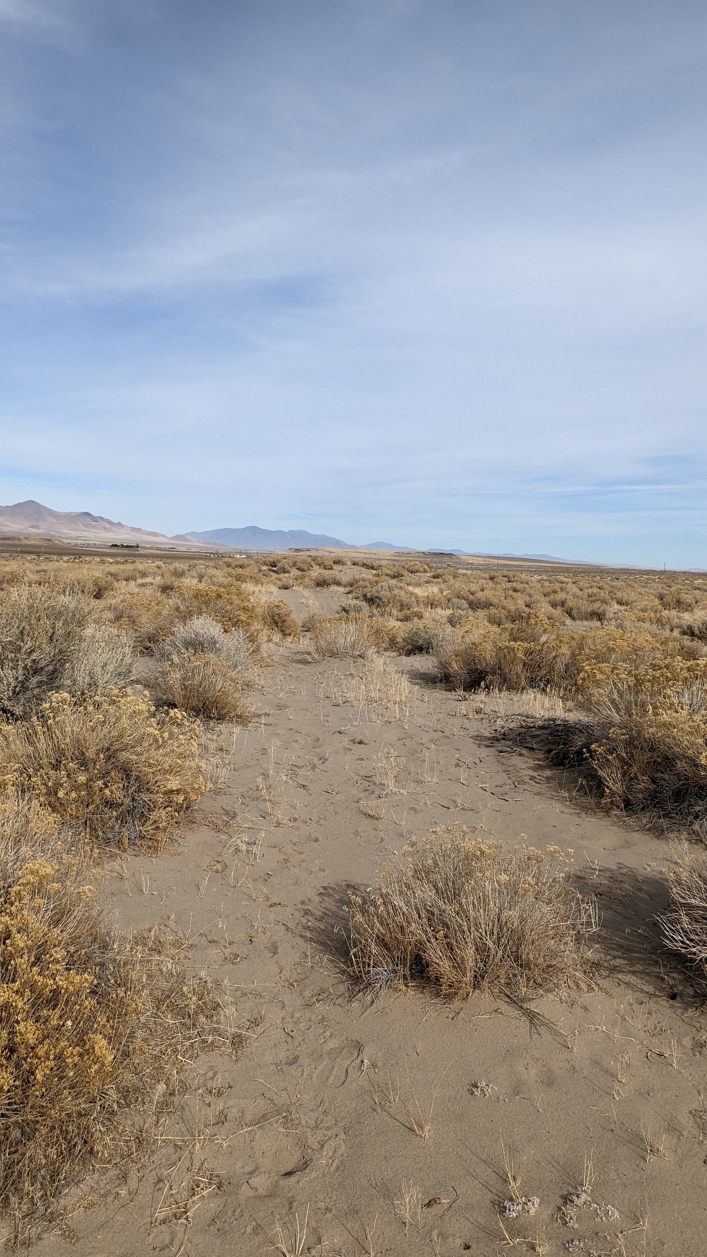 40 Acre Property for Sale in Winnemucca, NV!