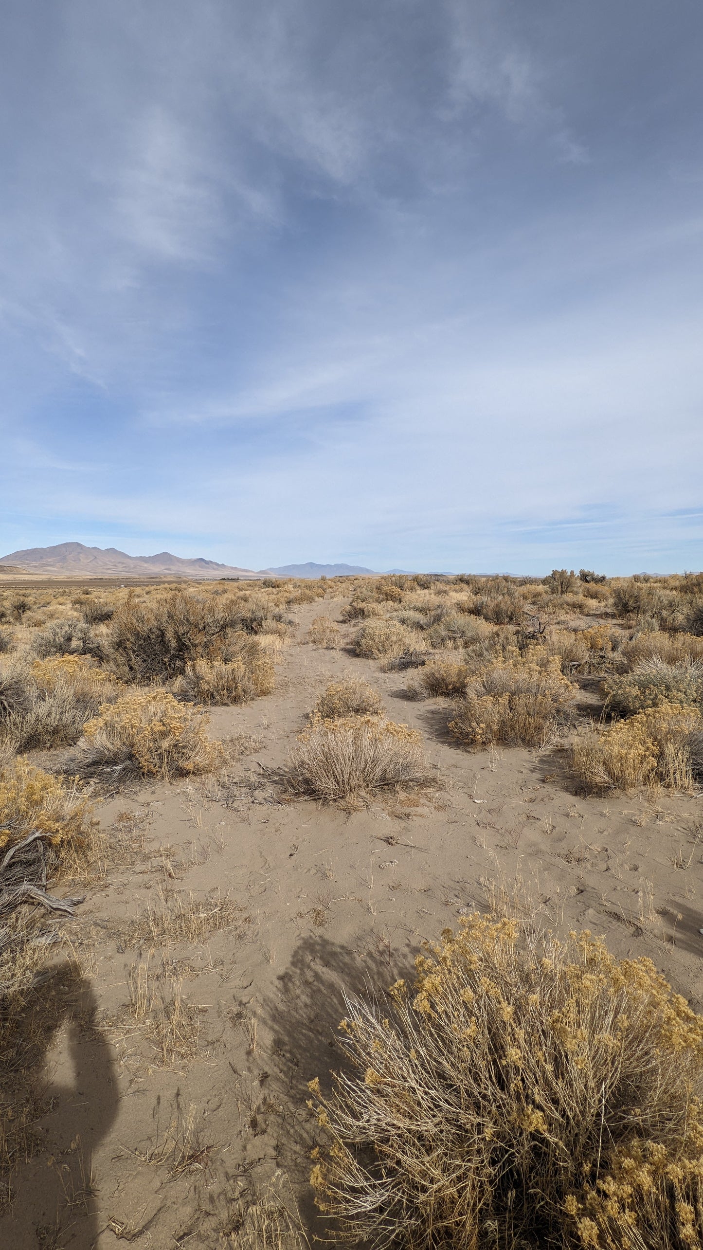 40 Acre Property for Sale in Winnemucca, NV!