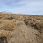 40 Acre Property for Sale in Winnemucca, NV!
