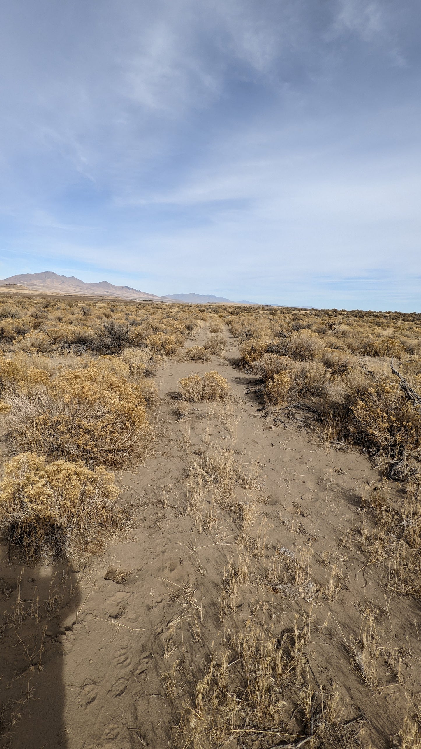 40 Acre Property for Sale in Winnemucca, NV!