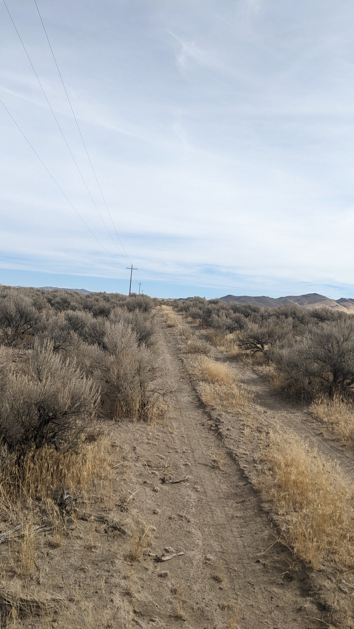 40 Acre Property for Sale in Winnemucca, NV!