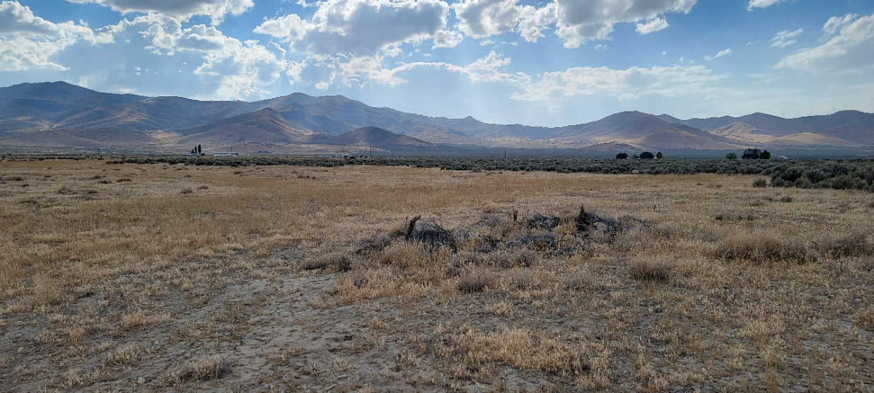Amazing Views on this 10 Acre Lot For Sale in Nevada!