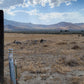 Amazing Views on this 10 Acre Lot For Sale in Nevada!