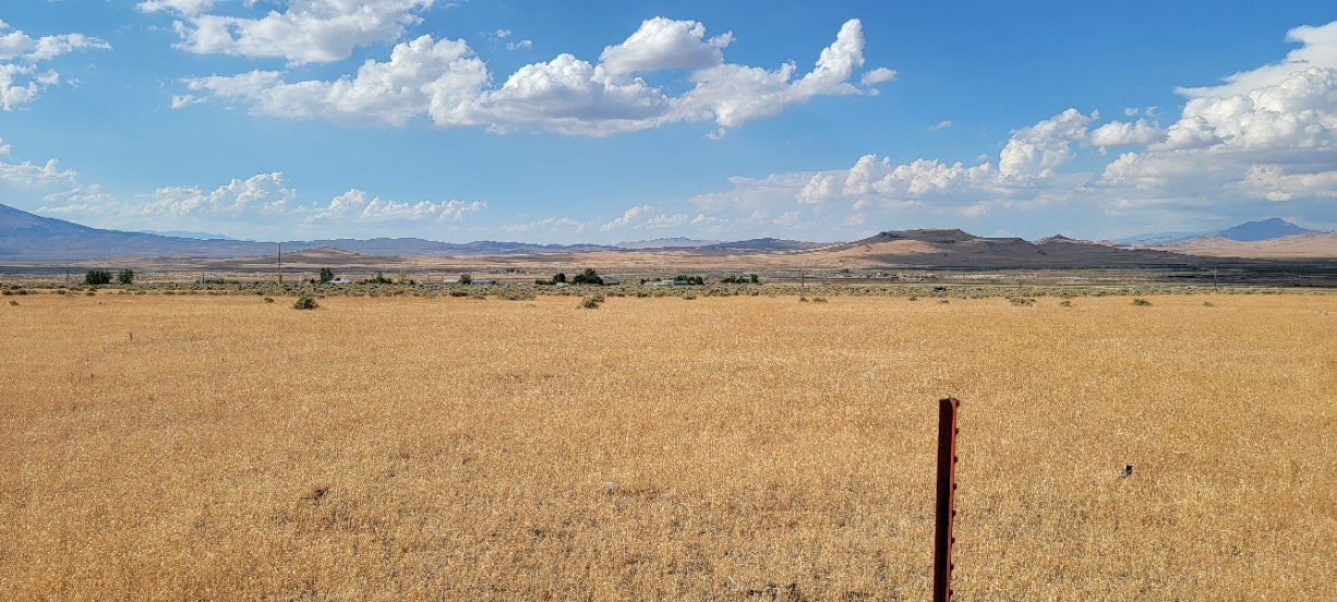 A 10 Acre Lot for Sale in Nevada!