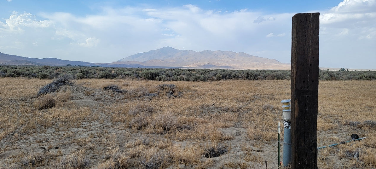 Amazing Views on this 10 Acre Lot For Sale in Nevada!