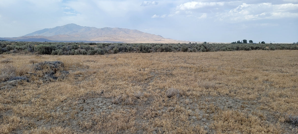 Amazing Views on this 10 Acre Lot For Sale in Nevada!
