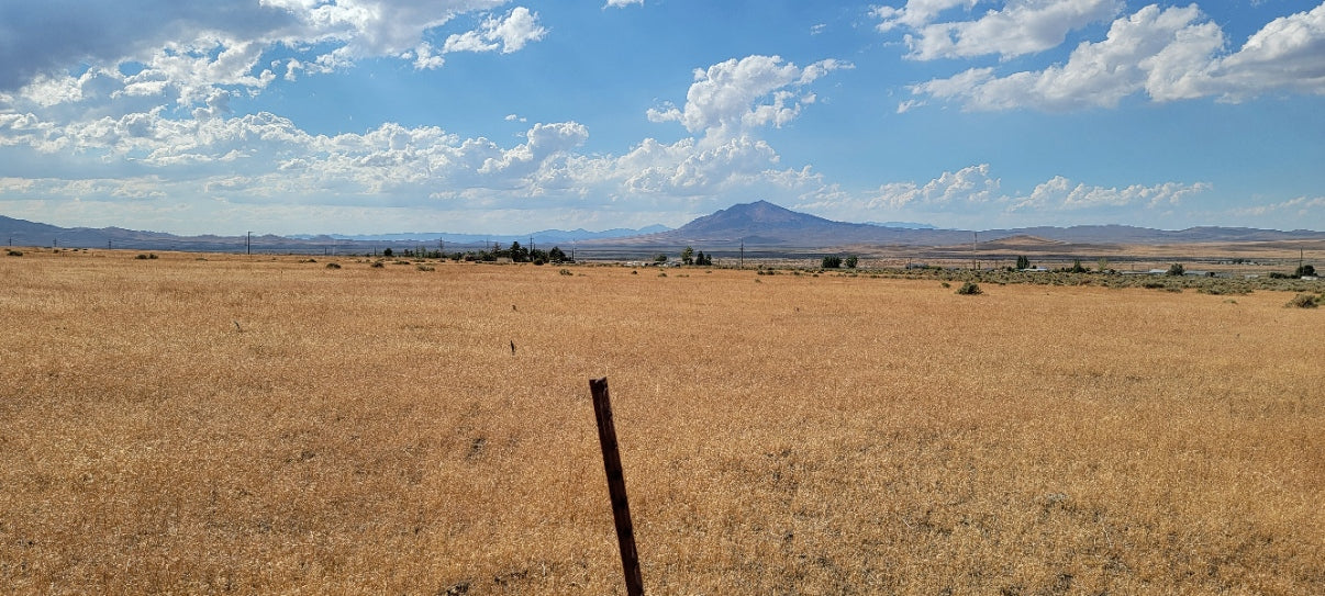 A 10 Acre Lot for Sale in Nevada!
