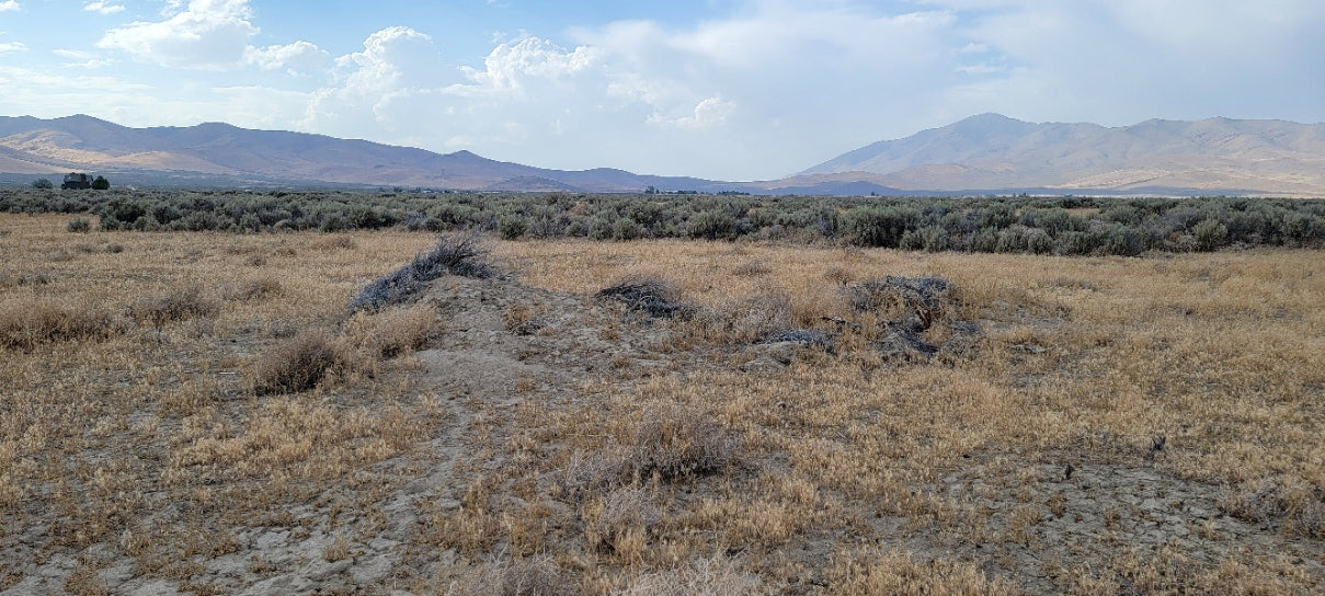 Amazing Views on this 10 Acre Lot For Sale in Nevada!