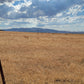 A 10 Acre Lot for Sale in Nevada!