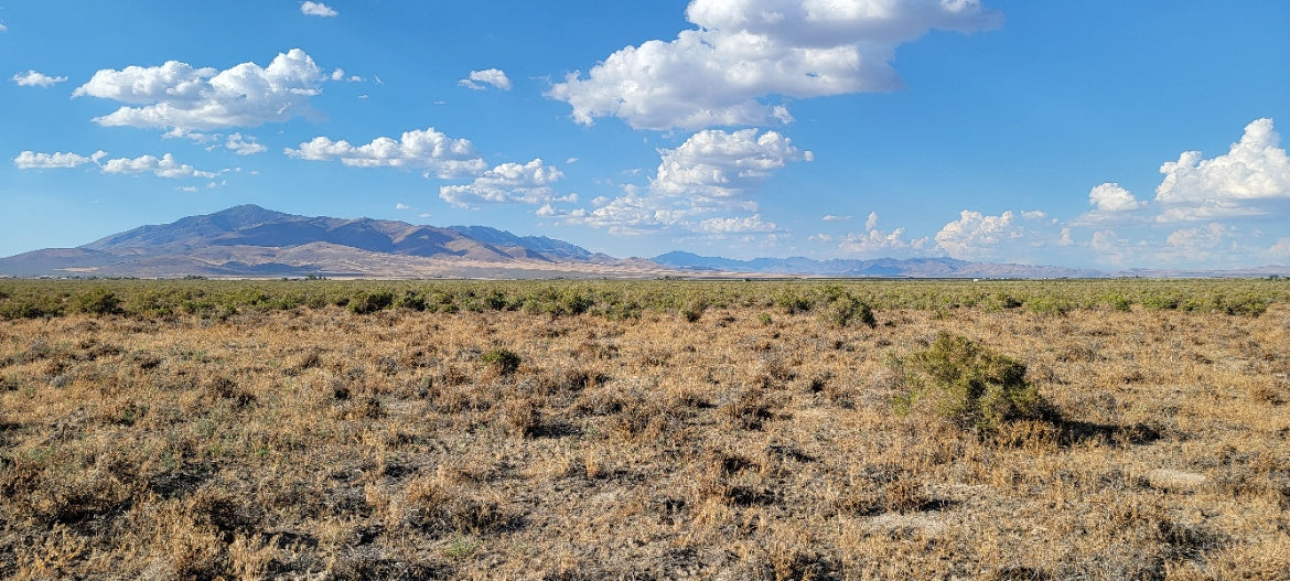 A 10 Acre Lot Available Near Winnemucca, Nevada!