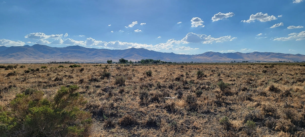 A 10 Acre Lot Available Near Winnemucca, Nevada!