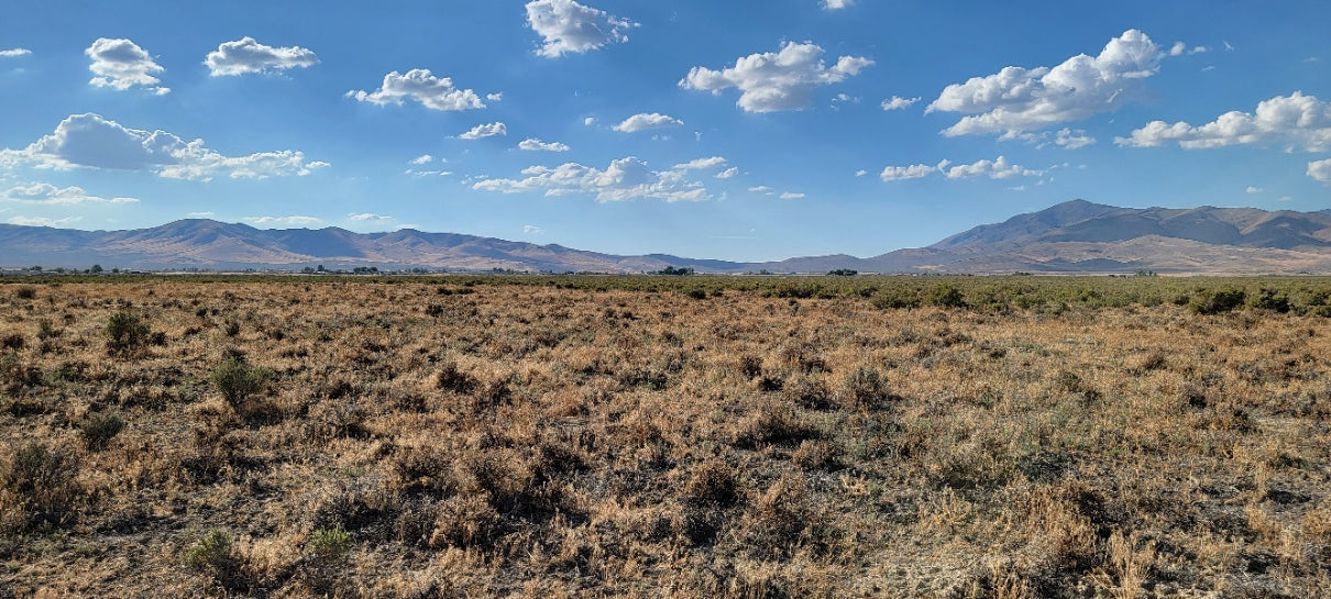 A 10 Acre Lot Available Near Winnemucca, Nevada!