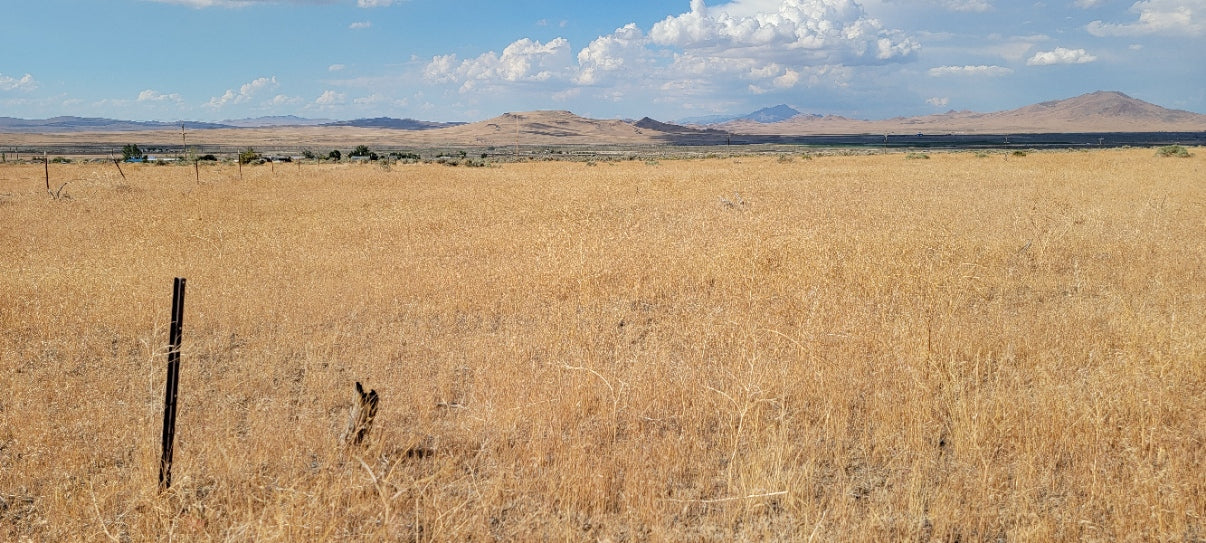 A 10 Acre Lot for Sale in Nevada!