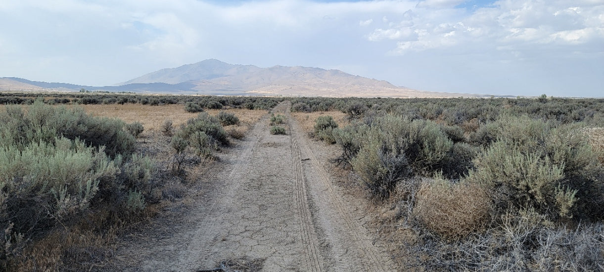 Amazing Views on this 10 Acre Lot For Sale in Nevada!
