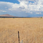 A 10 Acre Lot for Sale in Nevada!