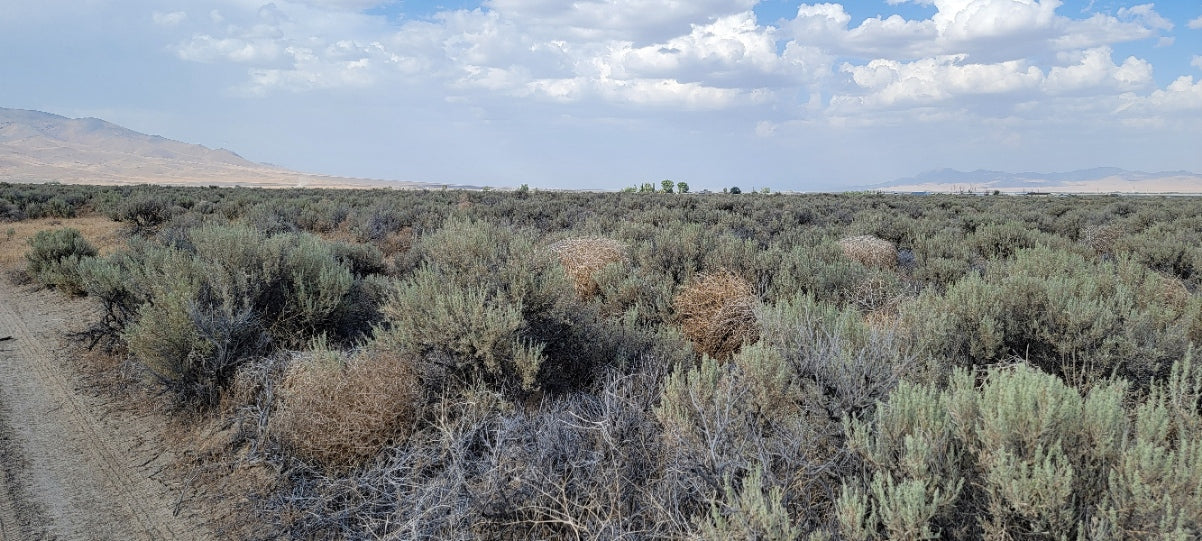 Amazing Views on this 10 Acre Lot For Sale in Nevada!