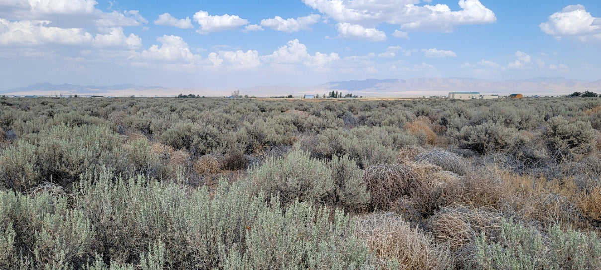 Amazing Views on this 10 Acre Lot For Sale in Nevada!