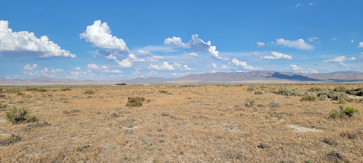 A 10 Acre Lot Available Near Winnemucca, Nevada!