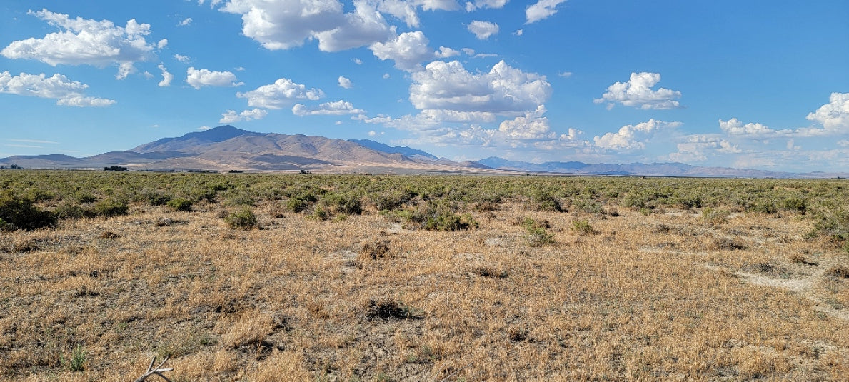 A 10 Acre Lot Available Near Winnemucca, Nevada!