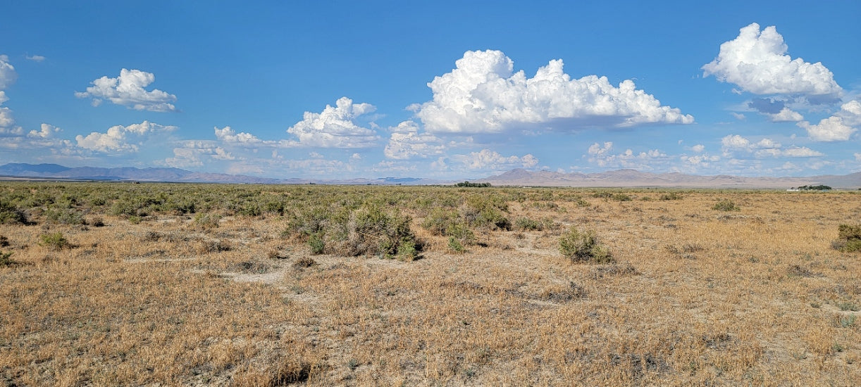 A 10 Acre Lot Available Near Winnemucca, Nevada!