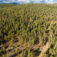 ¡Hermoso terreno baldío arbolado de 1 acre en venta en Durango, Colorado! 