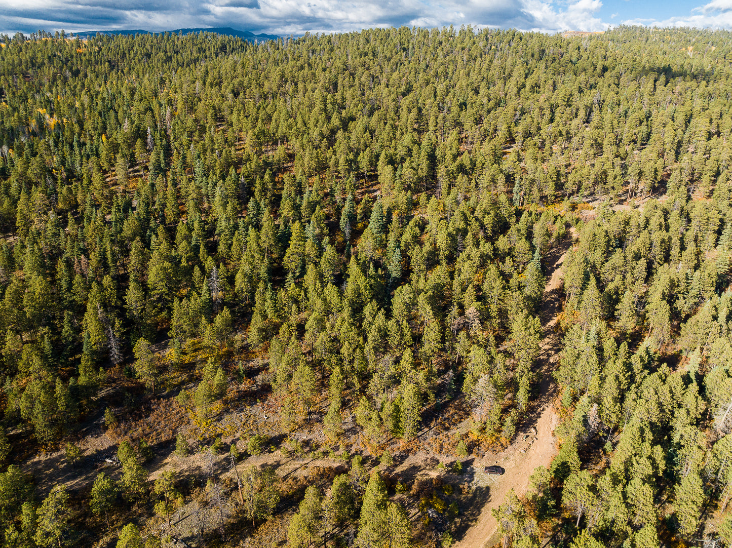 Beautiful Wooded 1 Acre Vacant Land for Sale in Durango, Colorado!