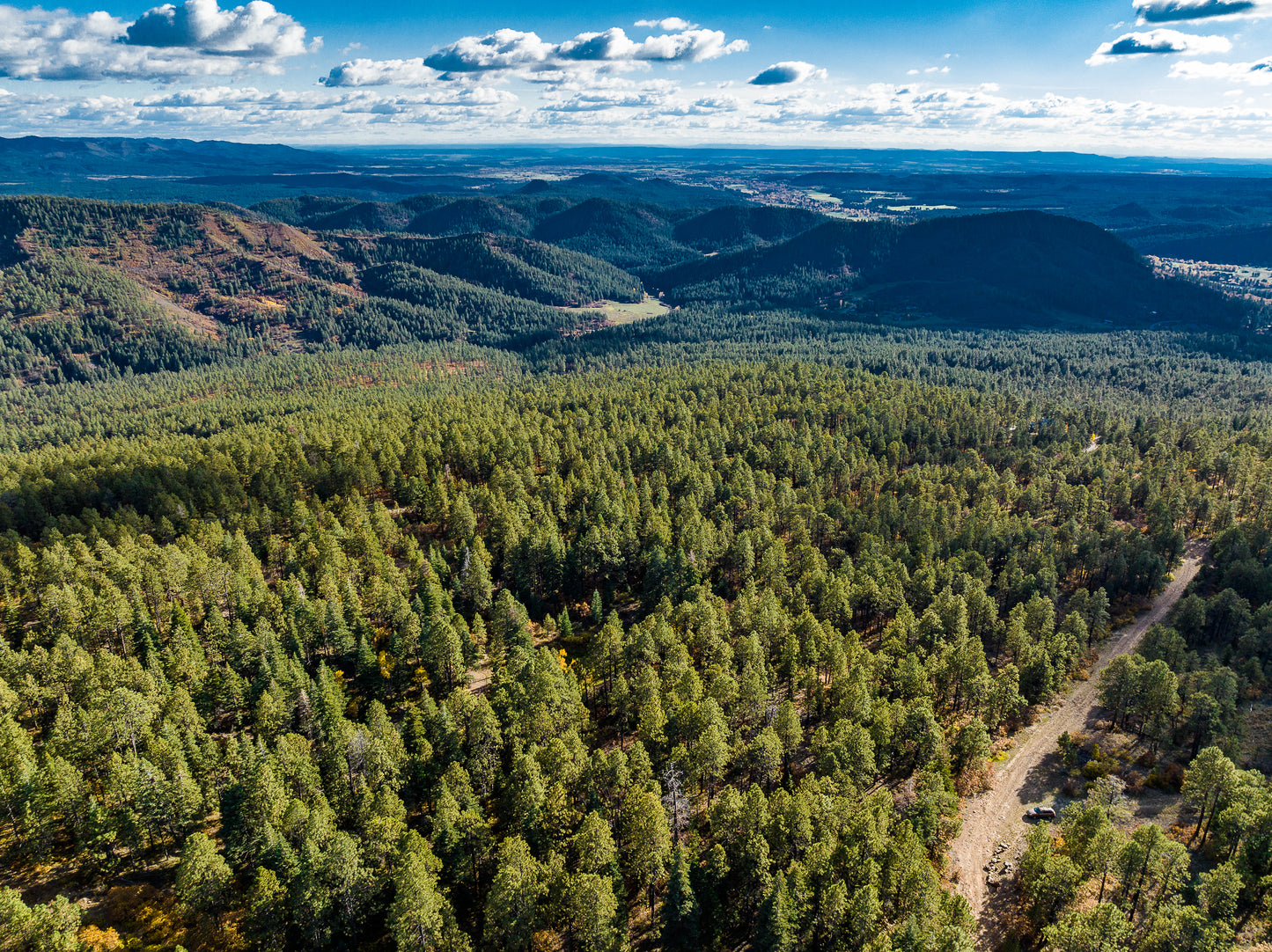 Beautiful Wooded 1 Acre Vacant Land for Sale in Durango, Colorado!