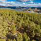 Amazing 1.19 Acre Vacant Land for Sale in Durango, Colorado!