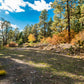 Amazing 1.19 Acre Vacant Land for Sale in Durango, Colorado!