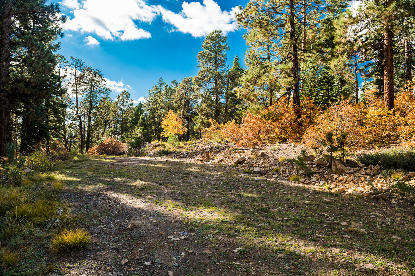 ¡Increíble terreno baldío de 1,19 acres en venta en Durango, Colorado! 