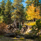 Amazing 1.19 Acre Vacant Land for Sale in Durango, Colorado!