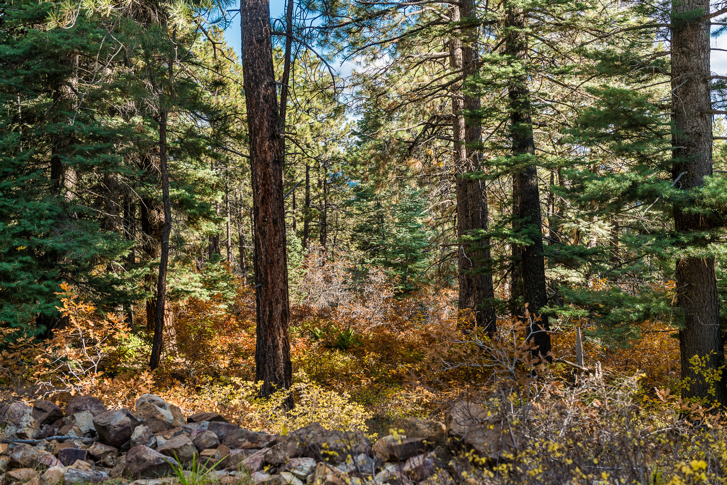 ¡Increíble terreno baldío de 1,19 acres en venta en Durango, Colorado! 