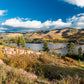 Amazing 1.19 Acre Vacant Land for Sale in Durango, Colorado!